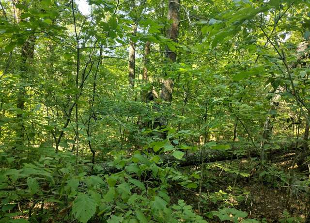 Property at 0 Liberty Rd, Leslie, AR 72645