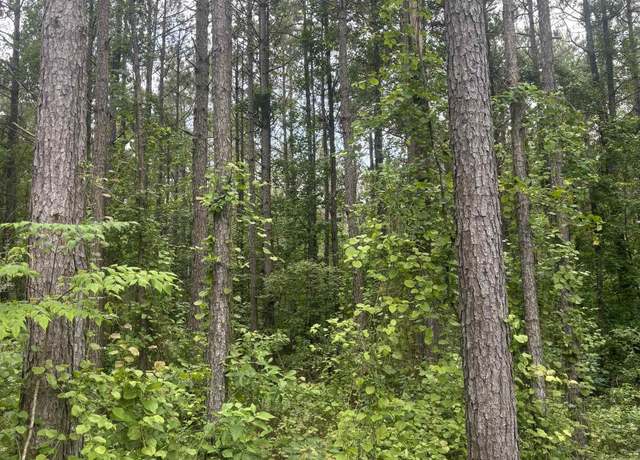 Property at 00 Hickory Dr, Rison, AR 71665