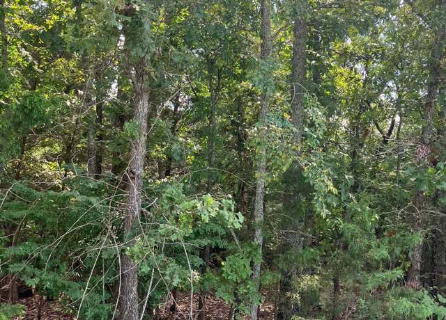 Property at 95 & 96 Larkspur Ln Lot 95, Mountain Home, AR 72653