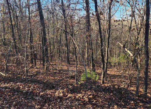 Property at L63-64 B-11 Miami Trce, Cherokee Village, AR 72529
