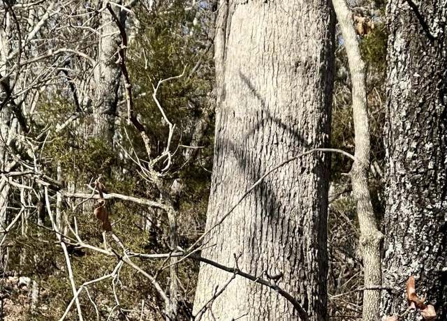 Property at 000 Starfield Trl, Mammoth Springs, AR 72554