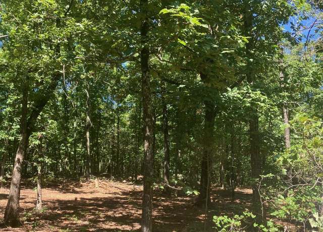 Property at 605 Lone Oak Rd, Williford, AR 72482