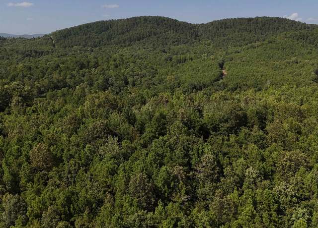 Property at 1 Polk Road 78 Lot 1, Mena, AR 71953