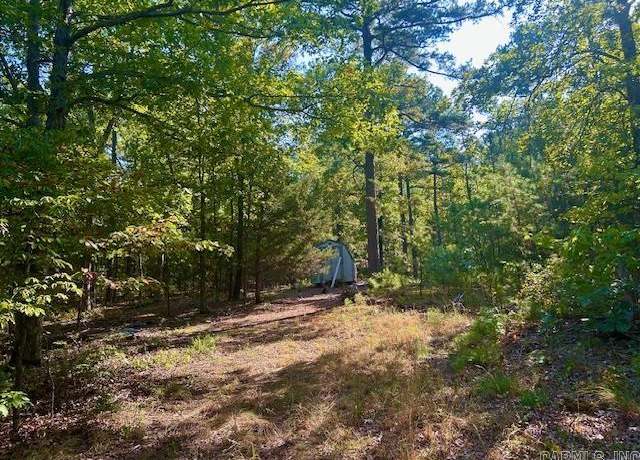 Property at 825 Piney Rd, Shirley, AR 72153