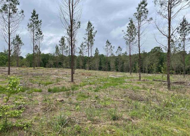 Property at 0 Grant 433, Sheridan, AR 72150