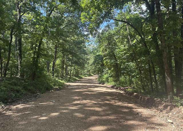 Property at 000 E Campground Rd, Ash Flat, AR 72513