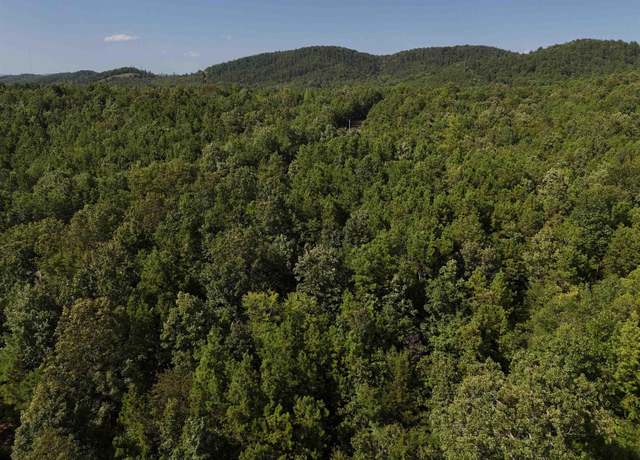 Property at 4 Polk Road 78 Lot 4, Mena, AR 71953