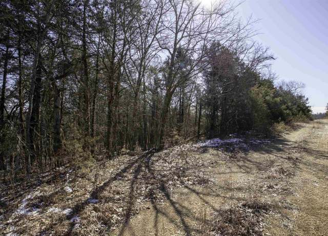 Property at 73 Big Buck Ln Lot 73, Williford, AR 72482
