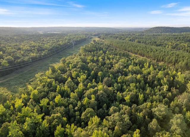 Property at 00 Round Mtn, Conway, AR 72034