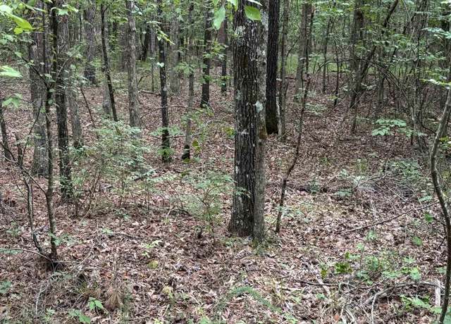 Property at 00 Venado Way, Hot Springs Village, AR 71909