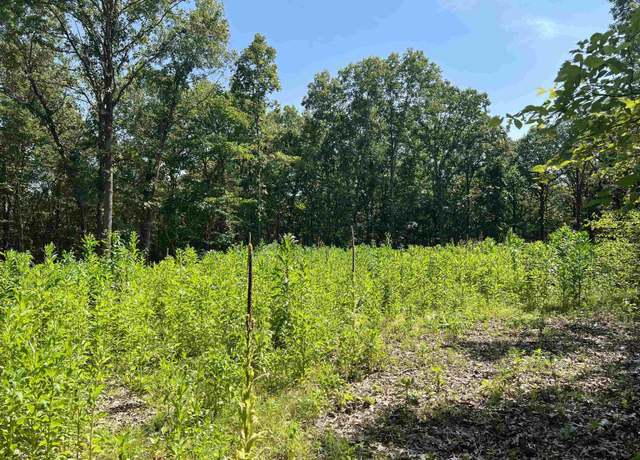 Property at 47 Cedar Crk Dr, Harrison, AR 72601
