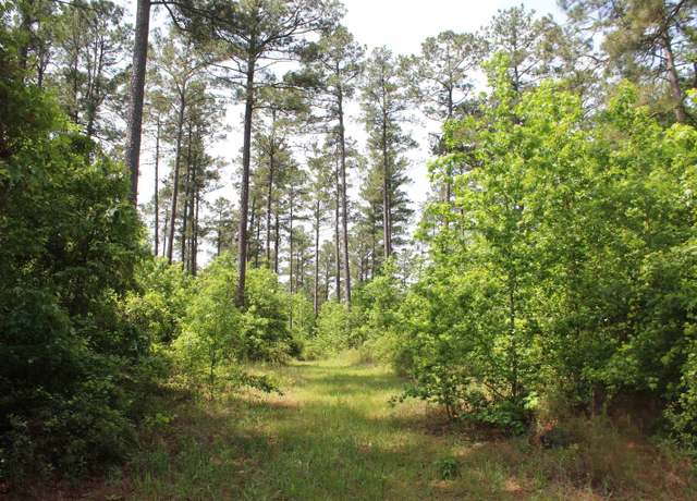 Property at 201 Nevada 25, Rosston, AR 71858