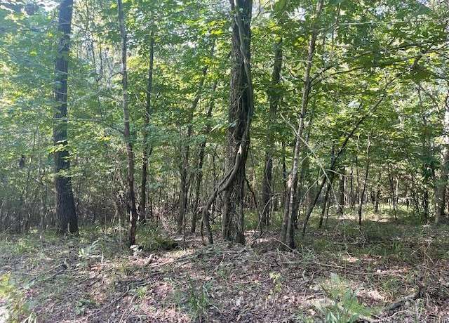 Property at 0 Sunfish Ln, Alexander, AR 72002