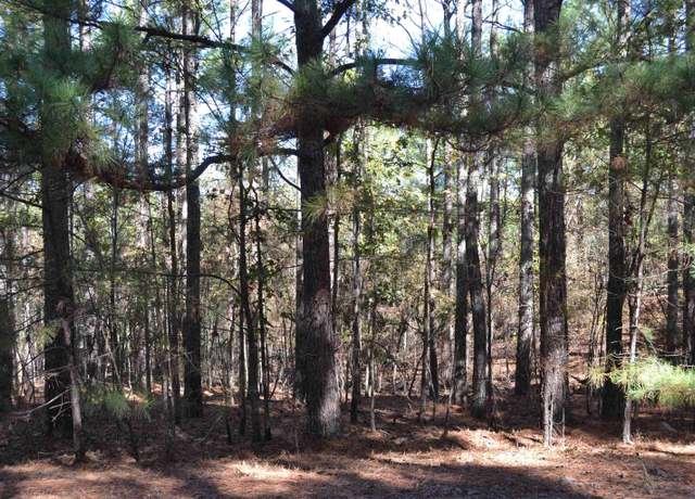 Property at 14 Piocha Ln, Hot Springs Village, AR 71909