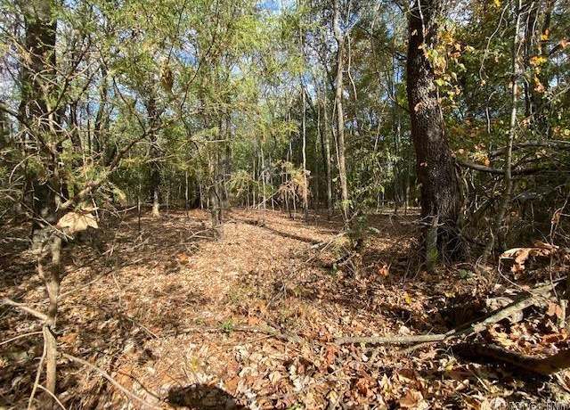 Property at 00 N Lliy And Hwy 60 Hwy, Houston, AR 72070
