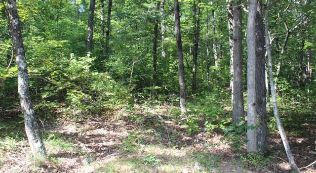 Photo of 0 6 Ridge Rd, Mountain View, AR 72560