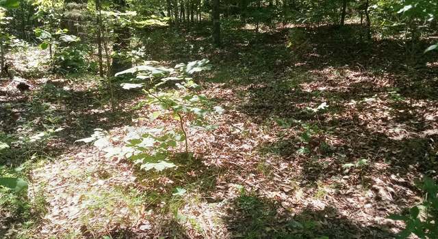 Photo of 314 Country Springs Rd, Glencoe, AR 72539