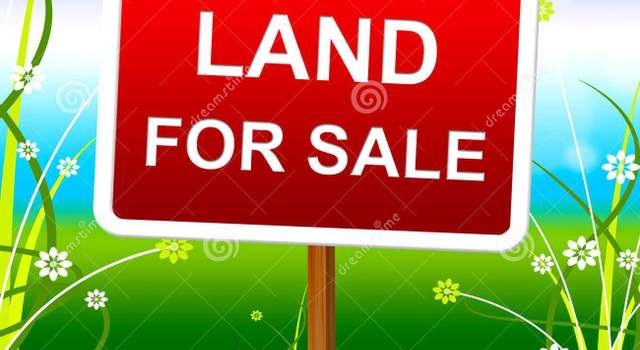 Photo of 185 Allie Jo Ln, Sheridan, AR 72150