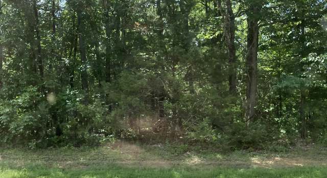 Photo of Tbd W Hwy 16 Hwy, Clinton, AR 72031