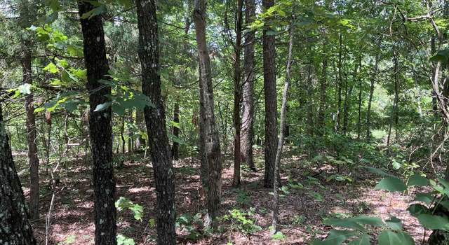 Photo of Tbd W Hwy 16 Hwy, Clinton, AR 72031