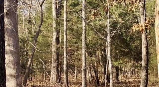 Photo of 41 Winnebago, Cherokee Village, AR 72529