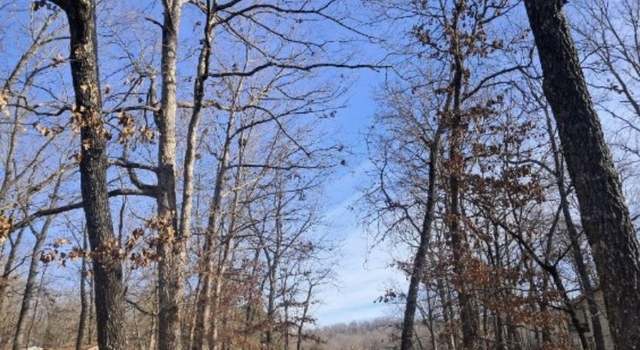 Photo of 41 Winnebago, Cherokee Village, AR 72529