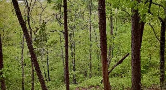 Photo of 000 Caddo Hills Ln, Caddo Gap, AR 71935