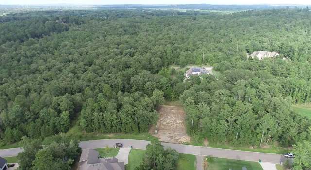 Photo of 435 Waterview Meadow Ln, Roland, AR 72135
