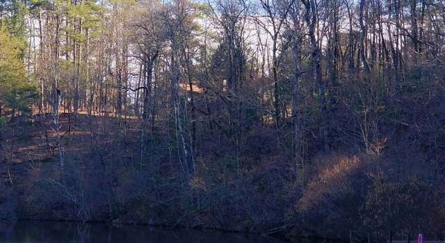 Photo of 24 Cuenca Cir, Hot Springs Village, AR 71909