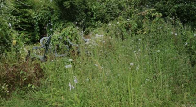 Photo of 319 Acres Yell County, Bluffton, AR 72827