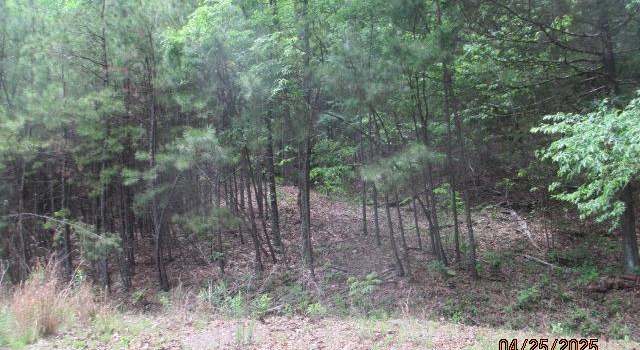 Photo of 59 Ridgeside Dr, Dover, AR 72837