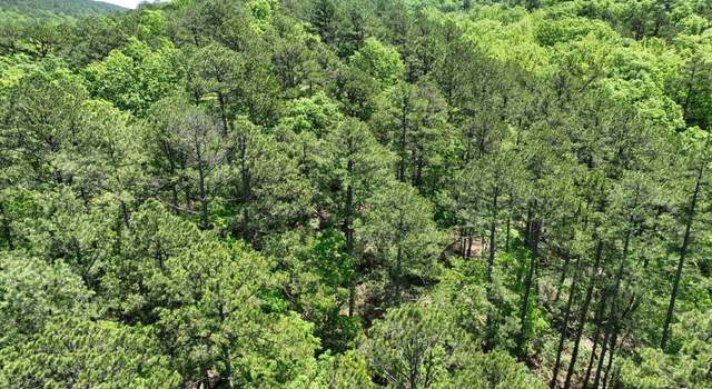 Photo of Tbd (lot 7 & 8) Heather Ln, Mena, AR 71953