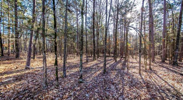 Photo of 000 Woods Ln, Clinton, AR 72031