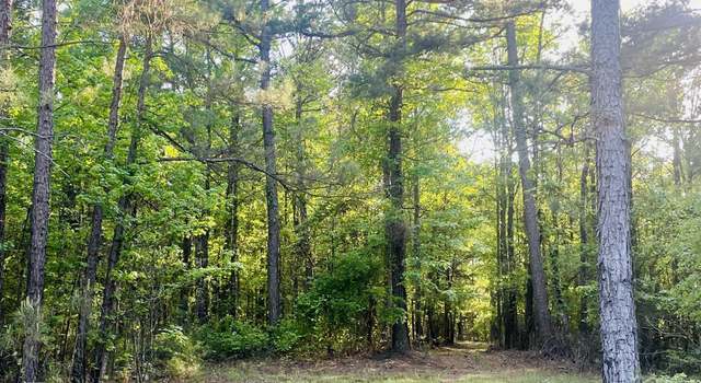 Photo of Tbd Miller County 32, Doddridge, AR 71834