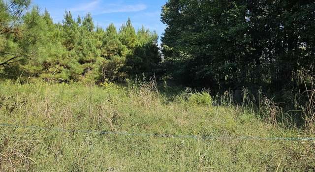 Photo of Porter Rd, Des Arc, AR 72040