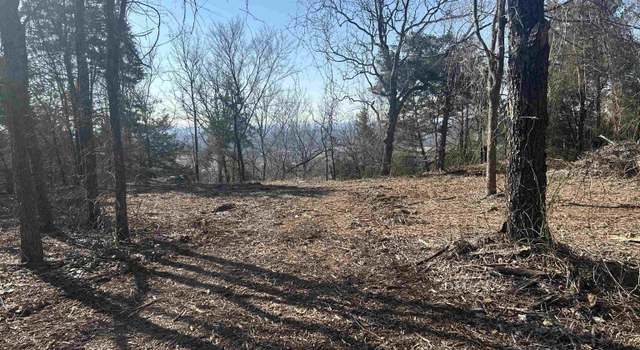 Photo of 536 Leonard Ln, Pottsville, AR 72858
