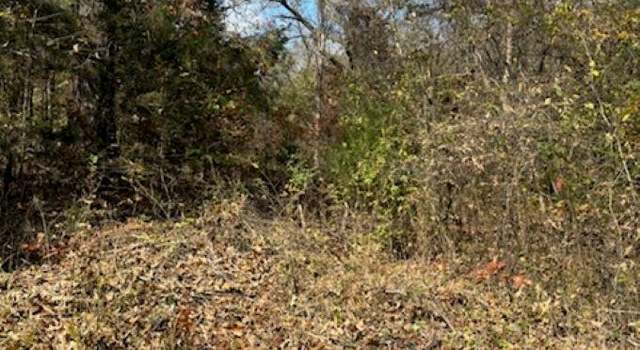 Photo of 59 Walnut Cv Lot 59, Hardy, AR 72542