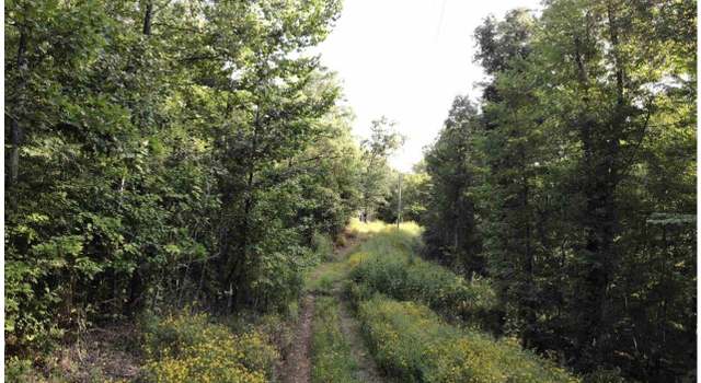 Photo of 3008 Highway 65 N, Clinton, AR 72031