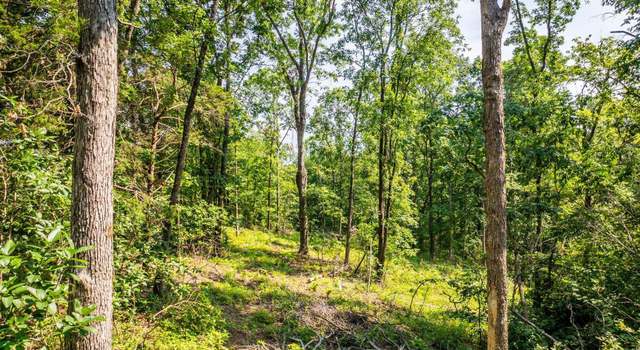 Photo of 40 Acres Harmony Mountain Rd, Clinton, AR 72031