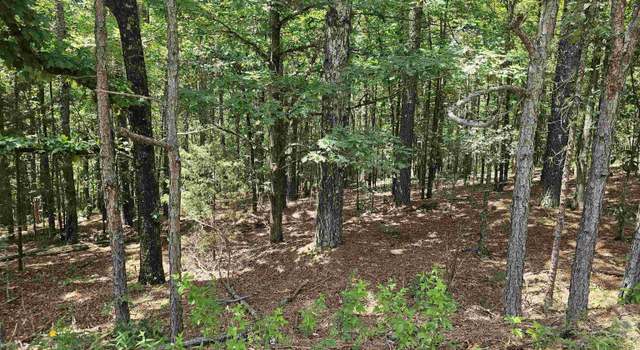 Photo of 174 Castano Dr, Hot Springs Village, AR 71909