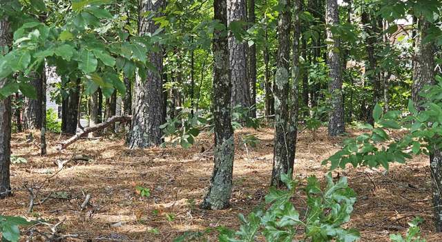 Photo of 16 Meteoro Way, Hot Springs Village, AR 71909