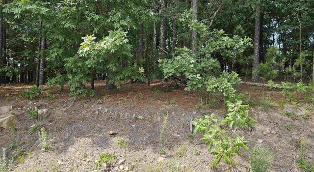 Photo of 16 Meteoro Way, Hot Springs Village, AR 71909