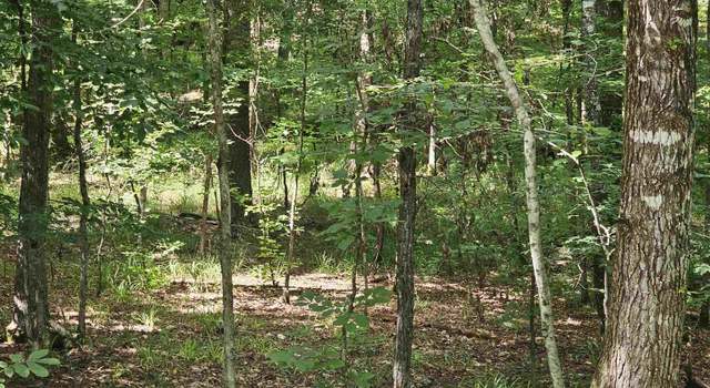 Photo of 15 Jabali Ln, Hot Springs Village, AR 71909