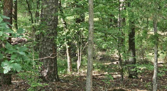 Photo of 15 Jabali Ln, Hot Springs Village, AR 71909
