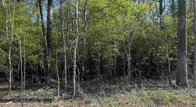 Photo of 0 Gum Street (tract 2), Sheridan, AR 72150