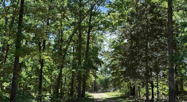 Photo of 675 Browns Creek Rd, Ravenden, AR 72459