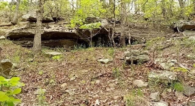 Photo of 9985 Lick Fork Rd, Witt Springs, AR 72686