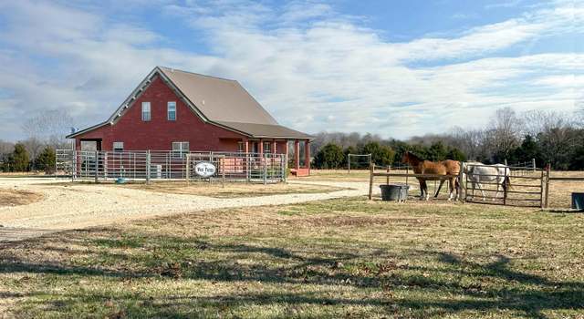 Photo of 11752 Highway 62/412 E, Ash Flat, AR 72513