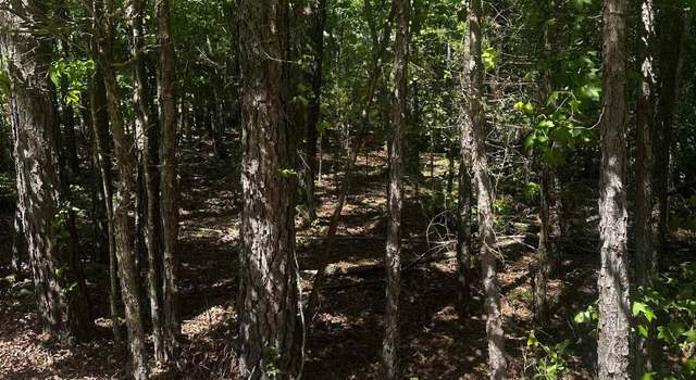 Photo of 23 Andorra Cir, Hot Springs Village, AR 71909