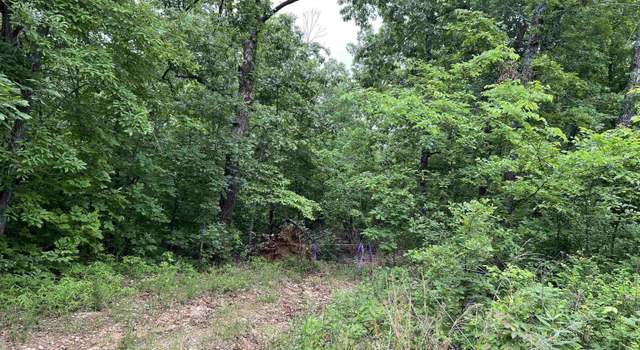 Photo of 000 Wateroak Ln, Mammoth Springs, AR 72554
